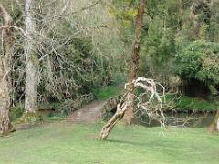 149 PARC ORIENTAL DE MAULEVIER MAINE ET LOIRE 2016 N0_000031